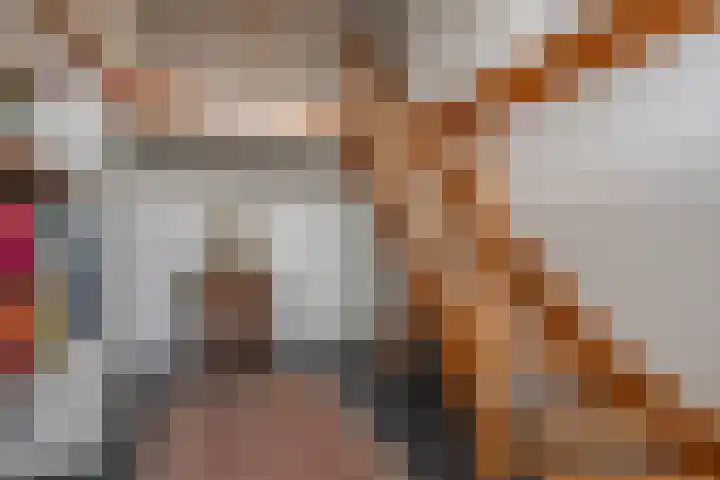 H.C. de Jonghweg 33 Rossum thumbnail 7