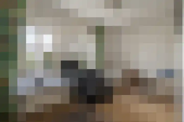 H.C. de Jonghweg 33 Rossum thumbnail 8
