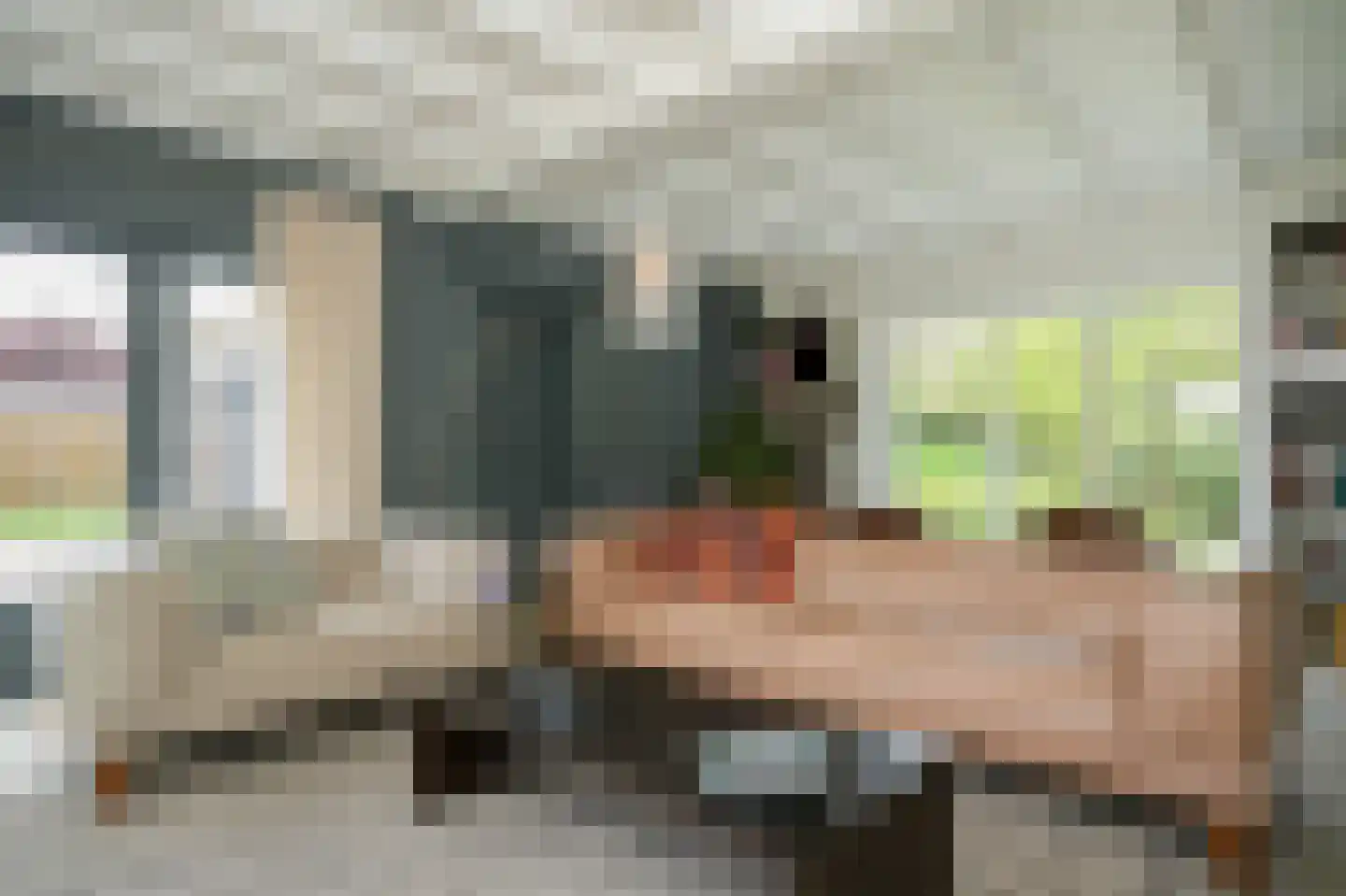 H.C. de Jonghweg 35 Rossum thumbnail 10