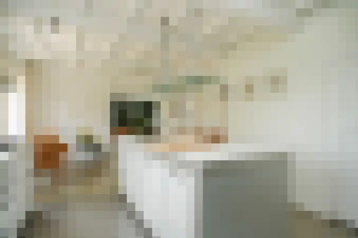 H.C. de Jonghweg 35 Rossum thumbnail 16