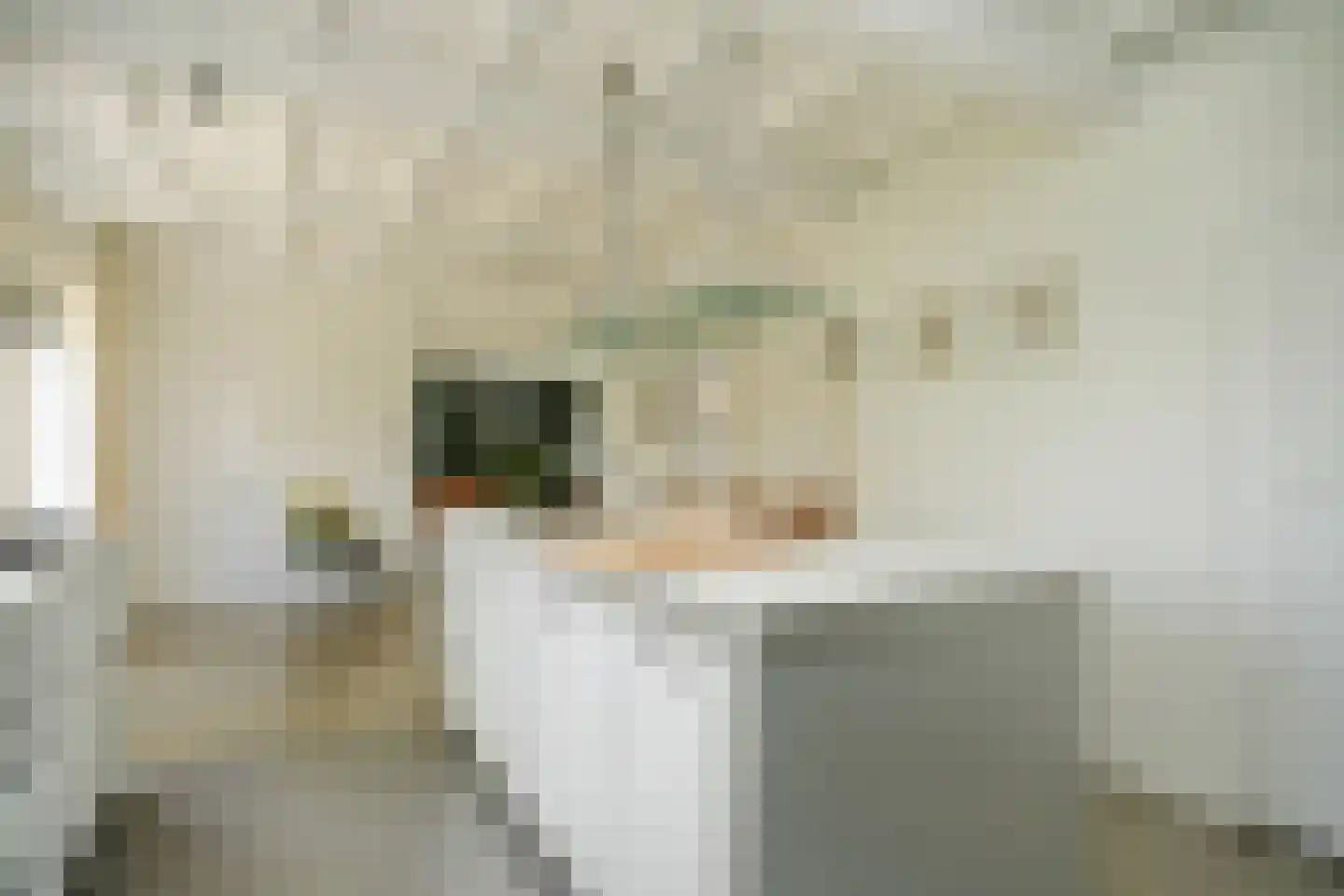 H.C. de Jonghweg 35 Rossum thumbnail 18