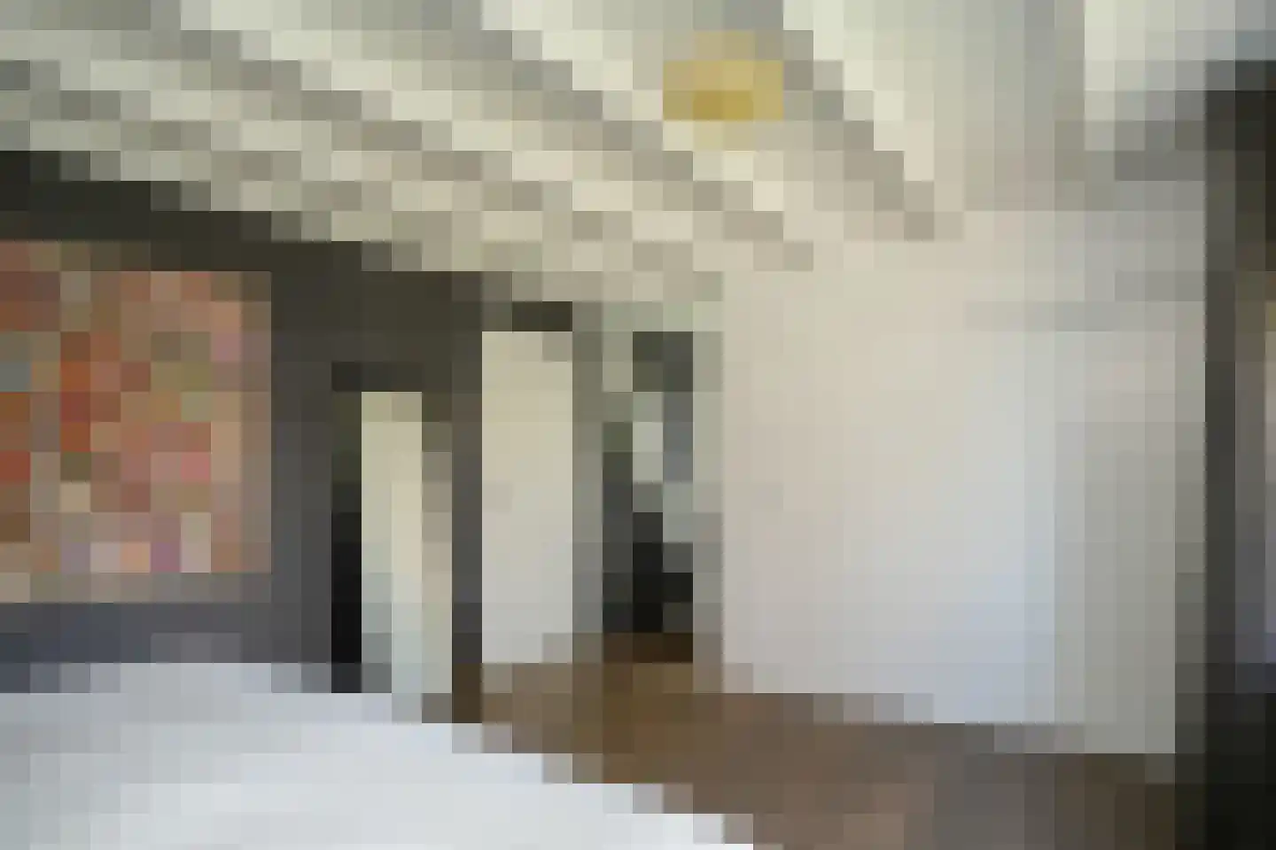 H.C. de Jonghweg 35 Rossum thumbnail 26