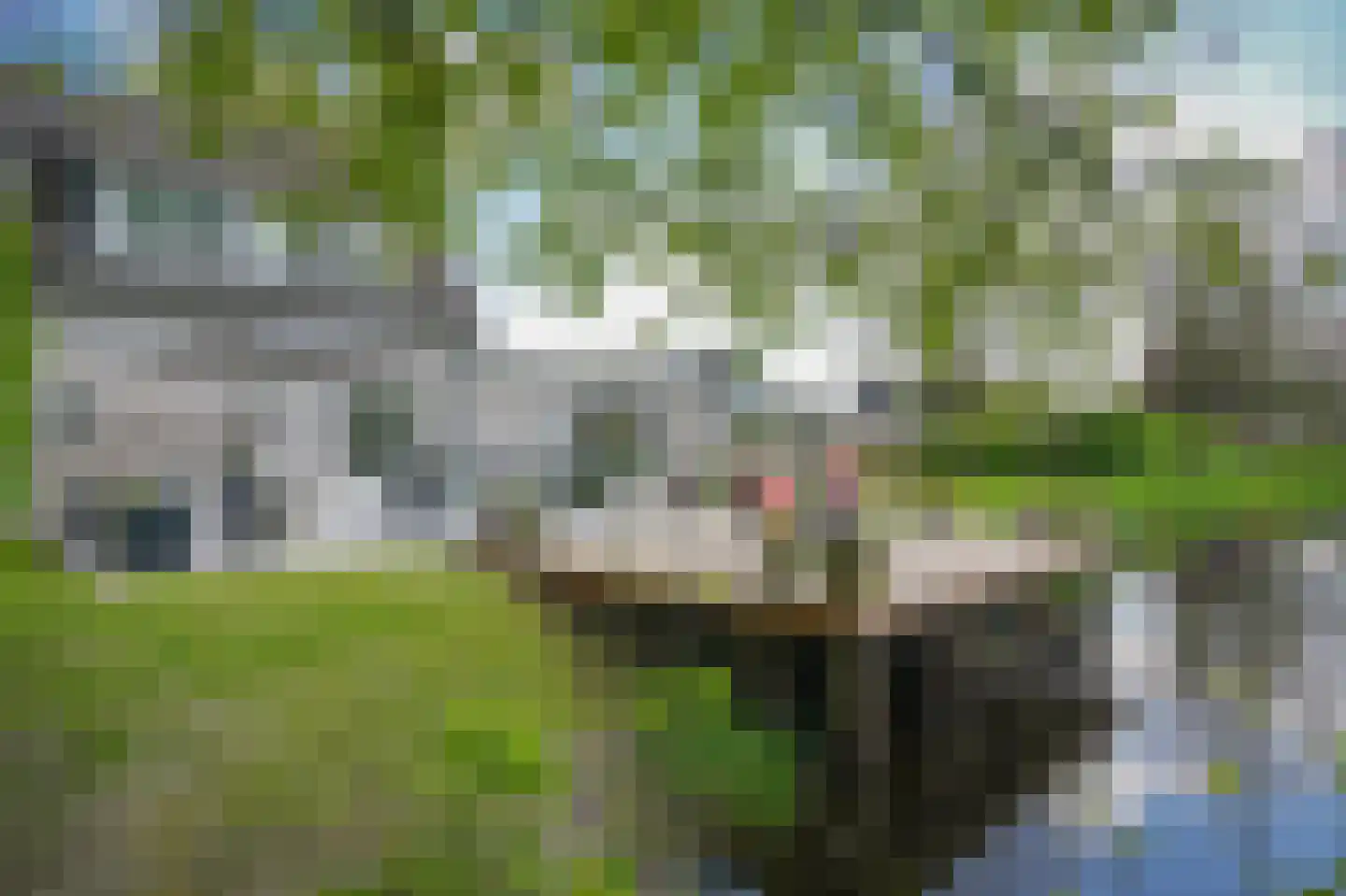 H.C. de Jonghweg 35 Rossum thumbnail 42