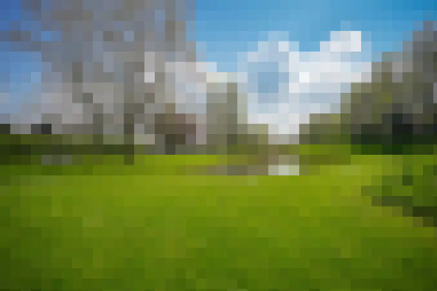 H.C. de Jonghweg 35 Rossum thumbnail 44