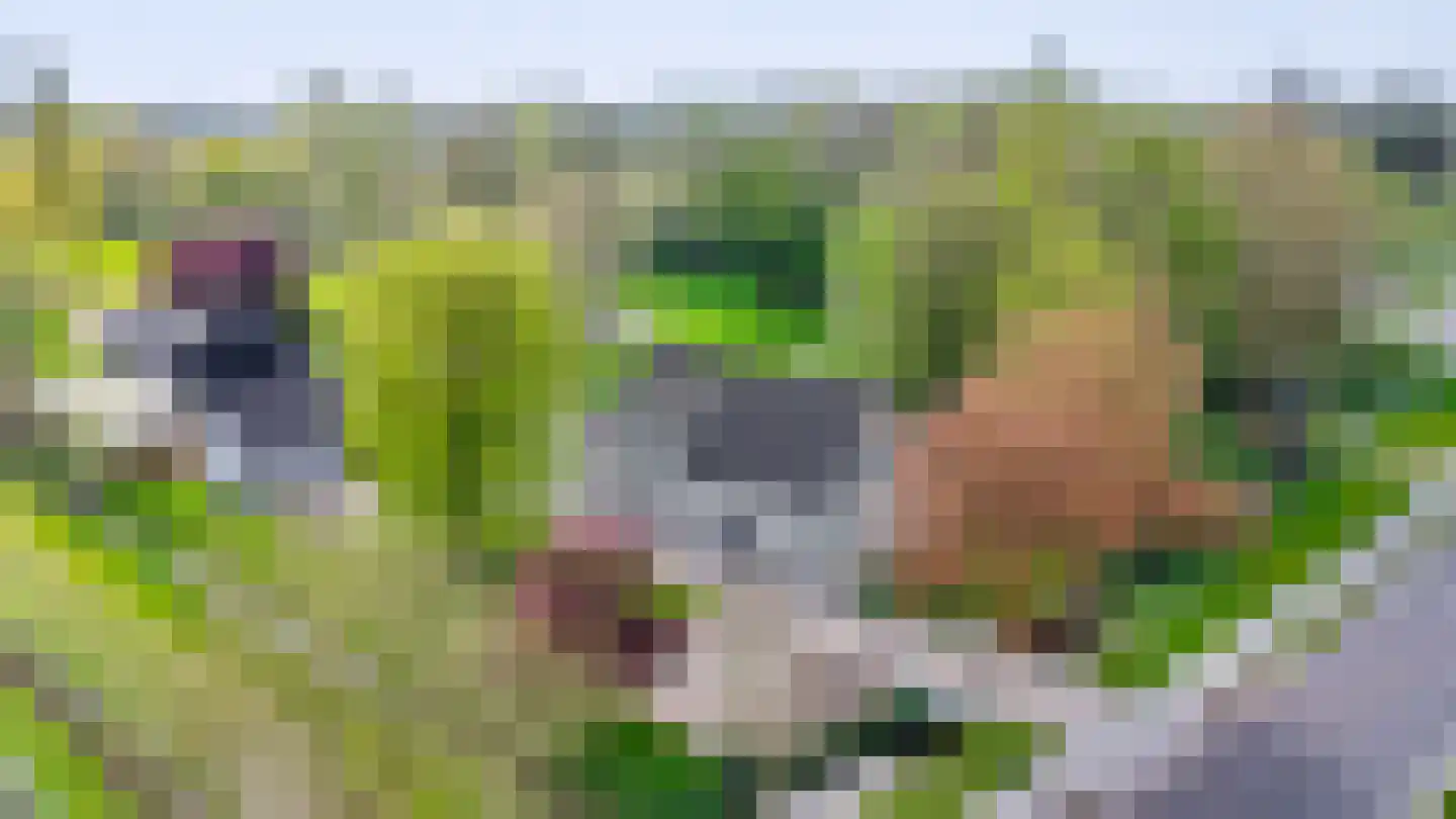H.C. de Jonghweg 35 Rossum thumbnail 54