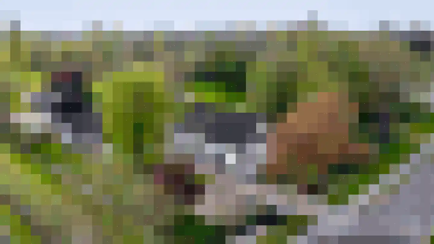 H.C. de Jonghweg 35 Rossum thumbnail 55