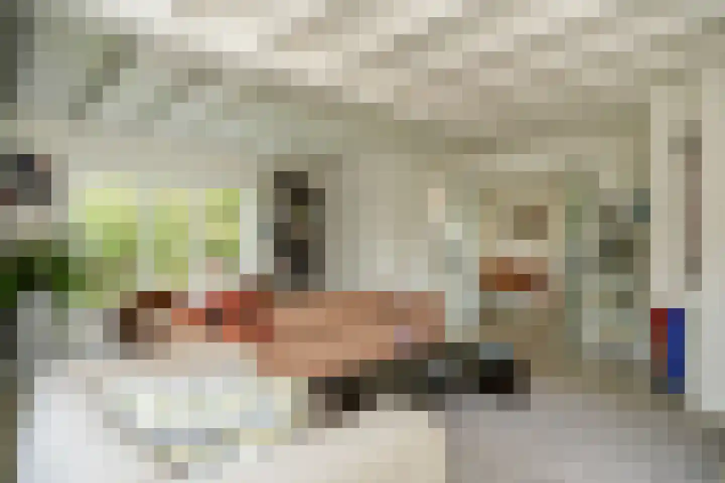 H.C. de Jonghweg 35 Rossum thumbnail 6
