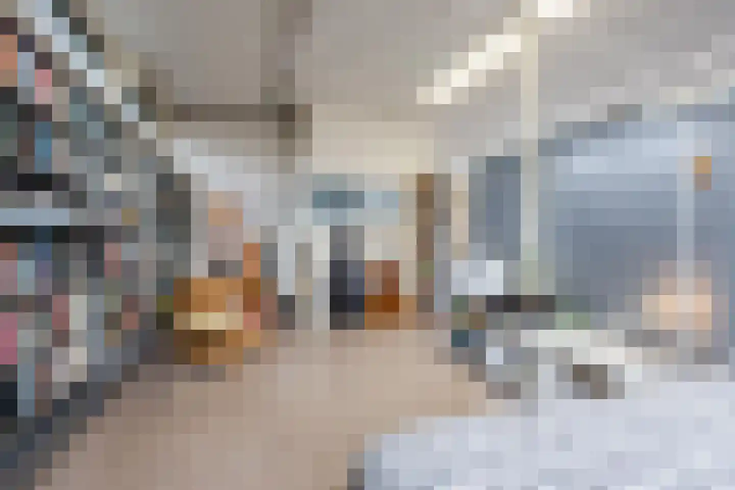 H.C. van de Houven van Oordtstraat 12 Wapenveld thumbnail 16