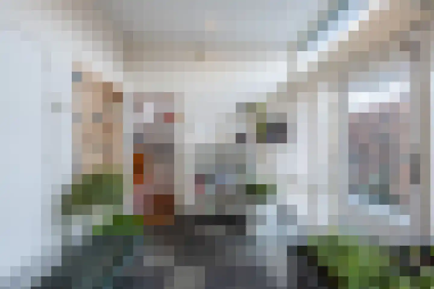 H.C. van de Houven van Oordtstraat 12 Wapenveld thumbnail 17