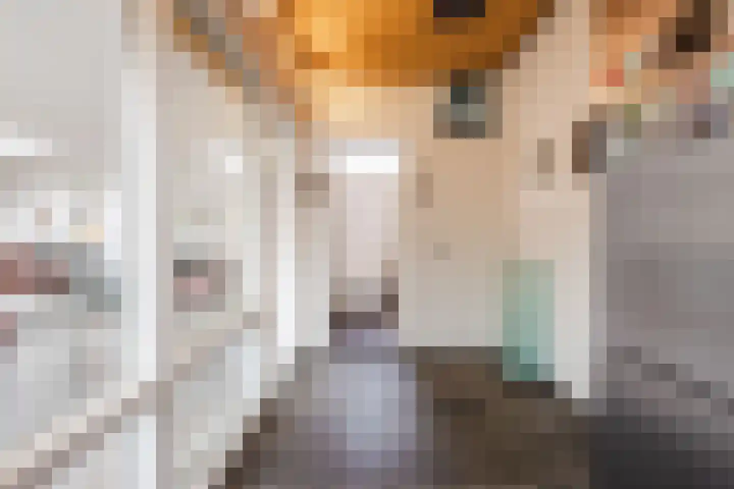 H.C. van de Houven van Oordtstraat 12 Wapenveld thumbnail 24