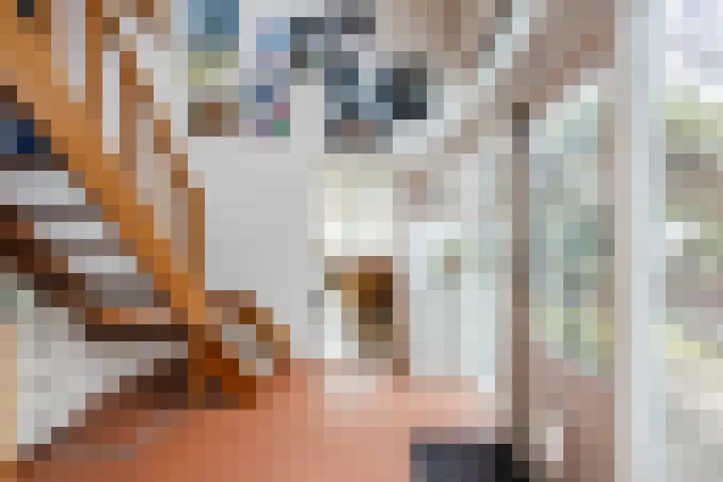 H.C. van de Houven van Oordtstraat 12 Wapenveld thumbnail 27