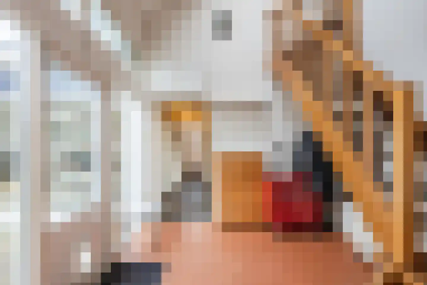 H.C. van de Houven van Oordtstraat 12 Wapenveld thumbnail 28