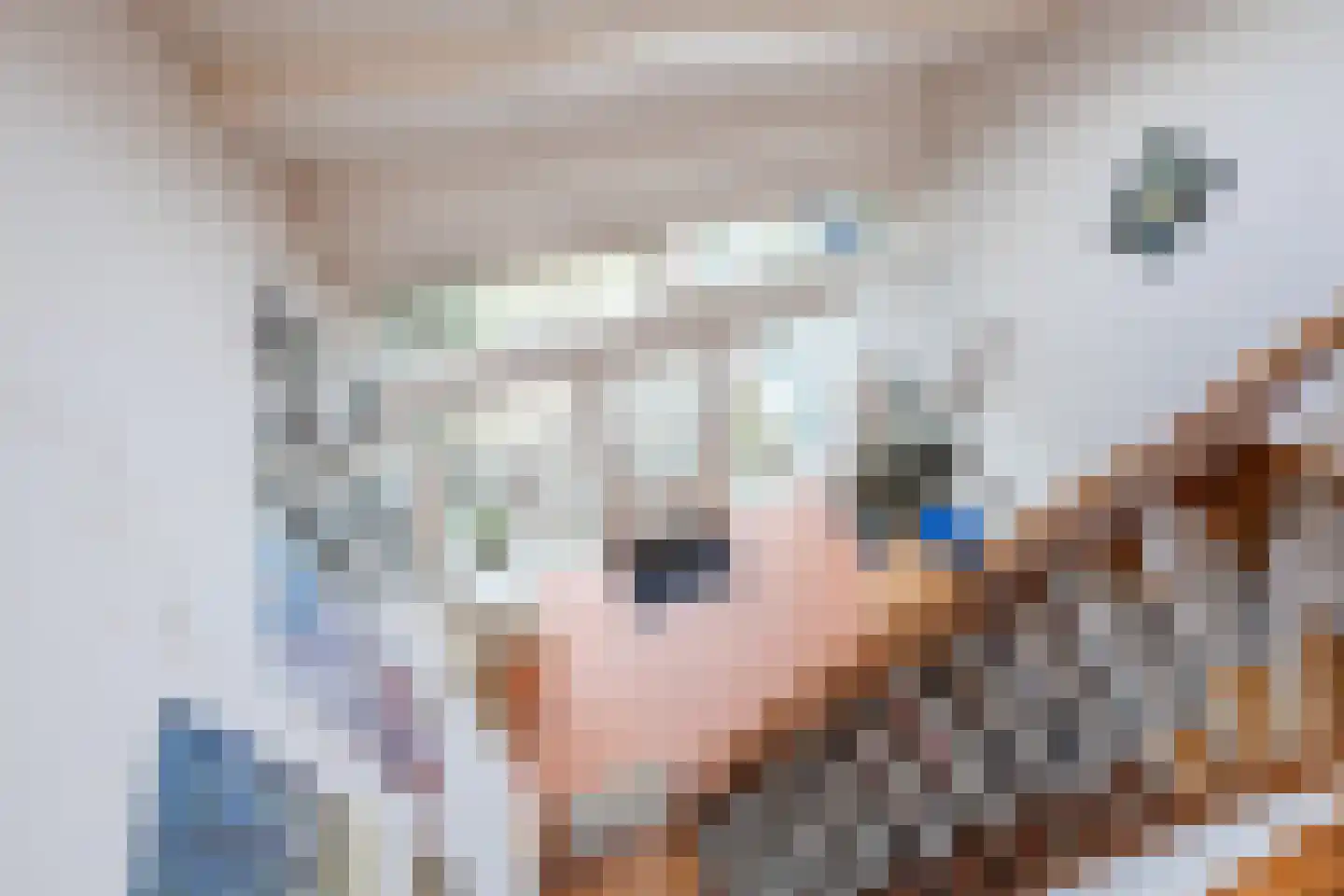 H.C. van de Houven van Oordtstraat 12 Wapenveld thumbnail 30