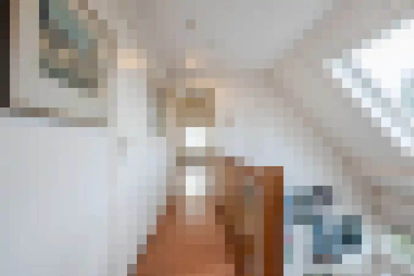 H.C. van de Houven van Oordtstraat 12 Wapenveld thumbnail 31