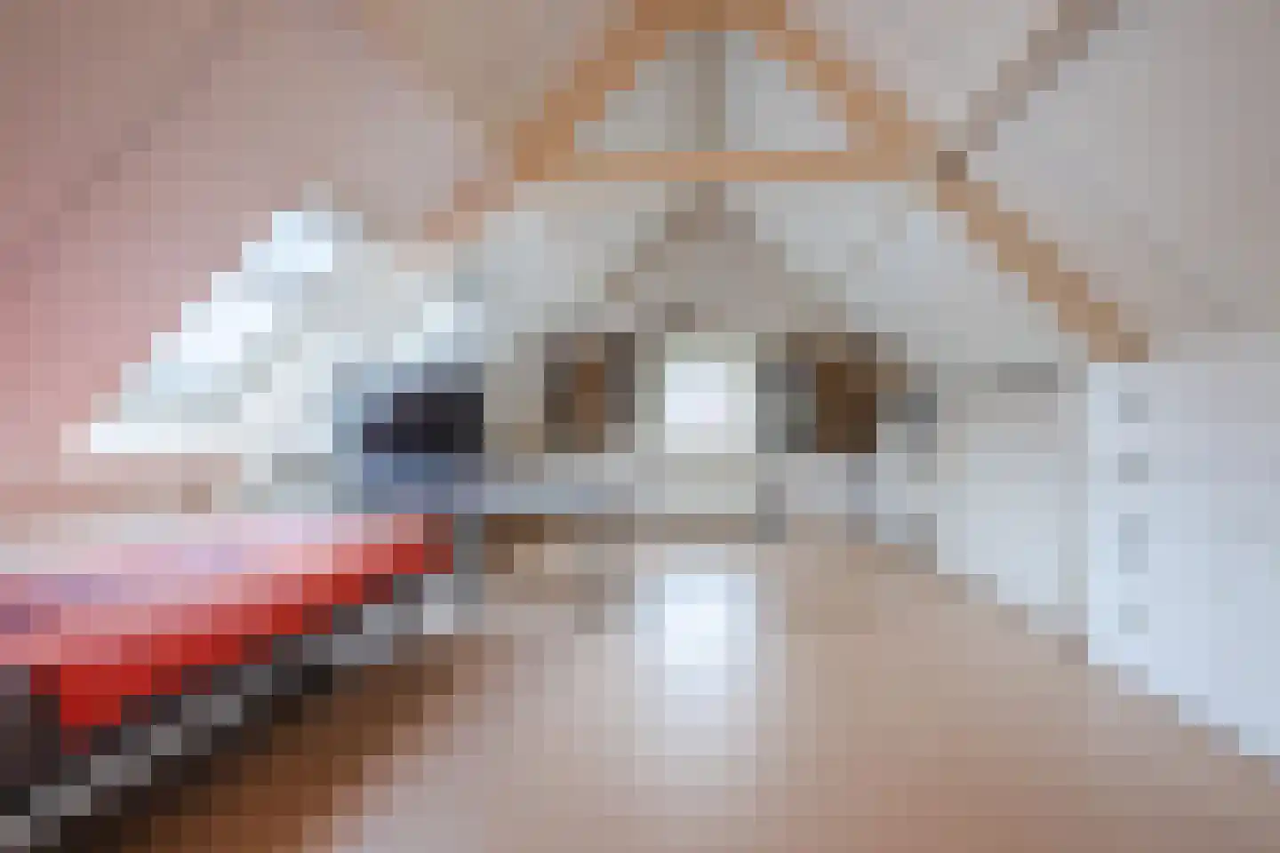 H.C. van de Houven van Oordtstraat 12 Wapenveld thumbnail 33