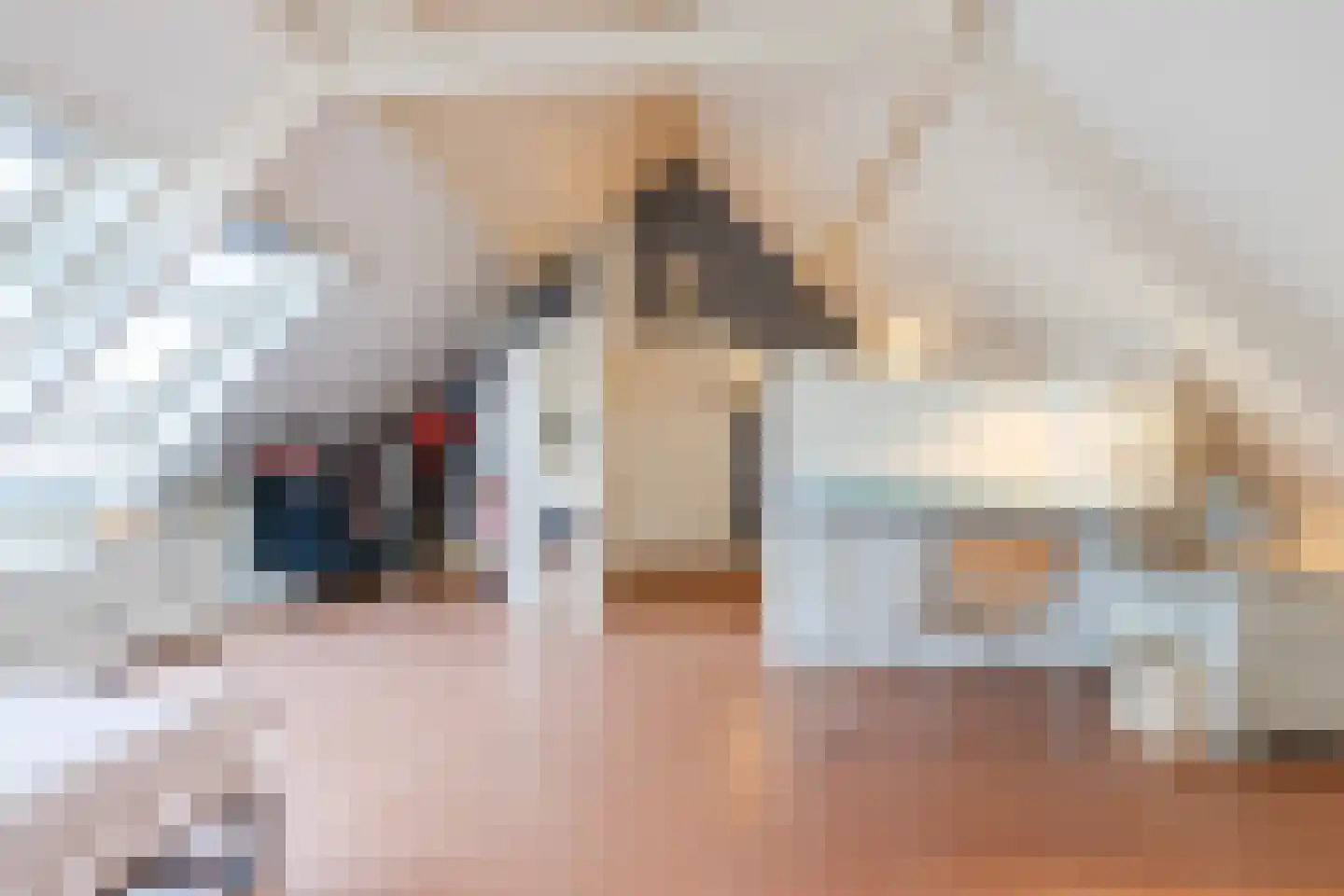 H.C. van de Houven van Oordtstraat 12 Wapenveld thumbnail 38