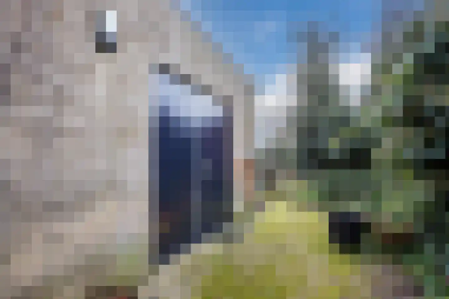 H.C. van de Houven van Oordtstraat 12 Wapenveld thumbnail 51