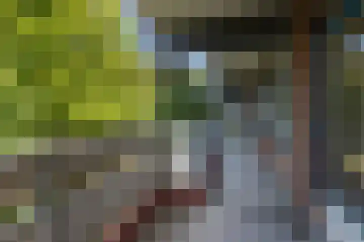 H. Cleyndertweg 253 Amsterdam thumbnail 7