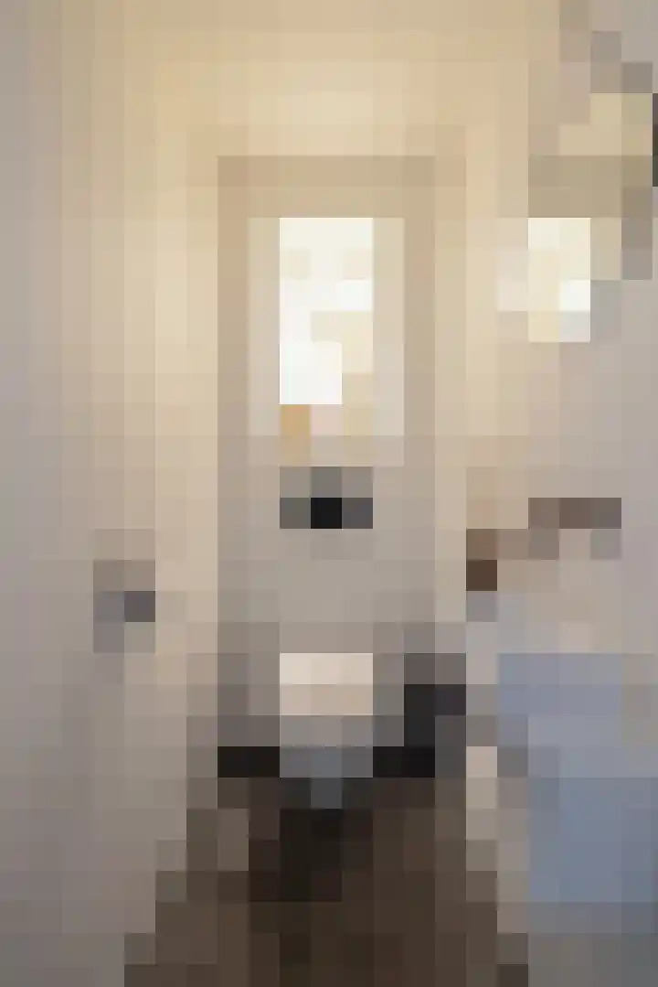H. Cleyndertweg 293 Amsterdam thumbnail 13