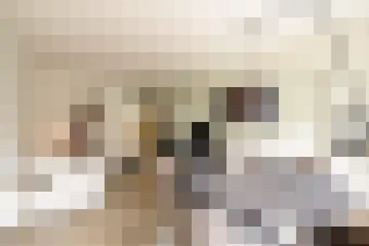 H. Cleyndertweg 293 Amsterdam thumbnail 15