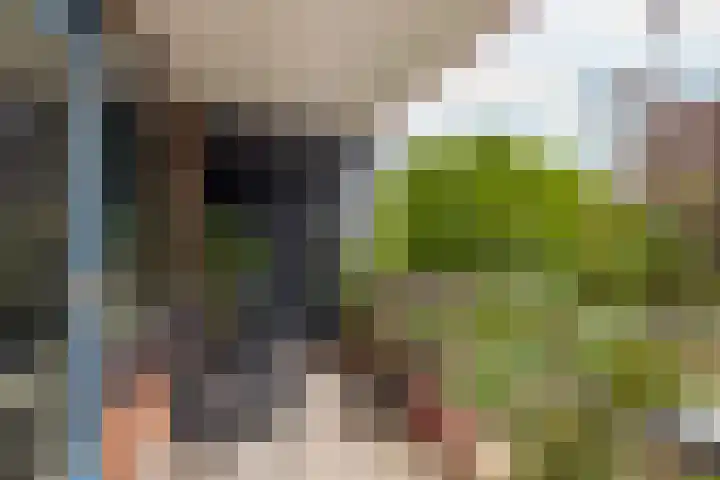 H. Cleyndertweg 293 Amsterdam thumbnail 26