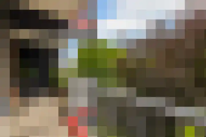 H. Cleyndertweg 293 Amsterdam thumbnail 28