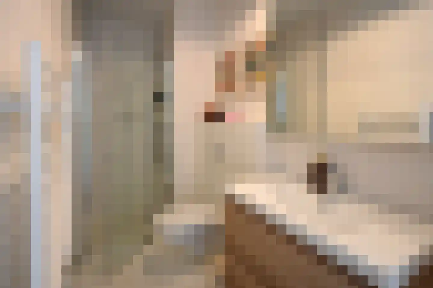 H. Cleyndertweg 387 Amsterdam thumbnail 11