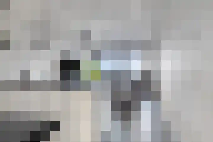H. Cleyndertweg 399 Amsterdam thumbnail 15