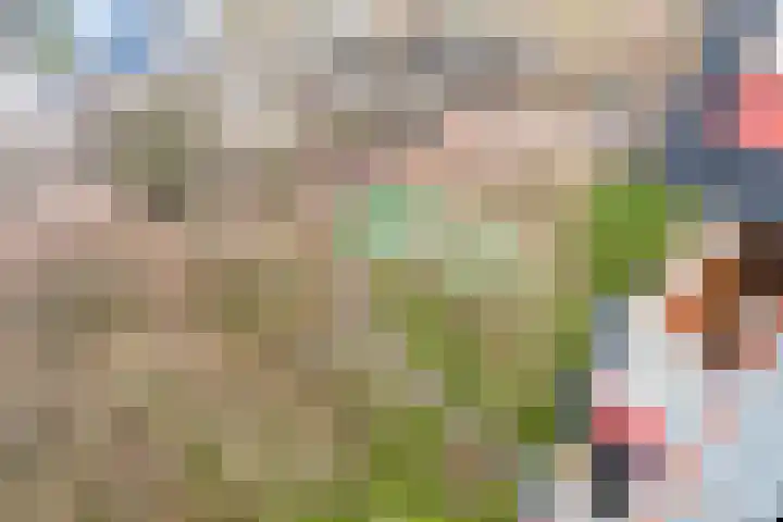 H. Cleyndertweg 399 Amsterdam thumbnail 33