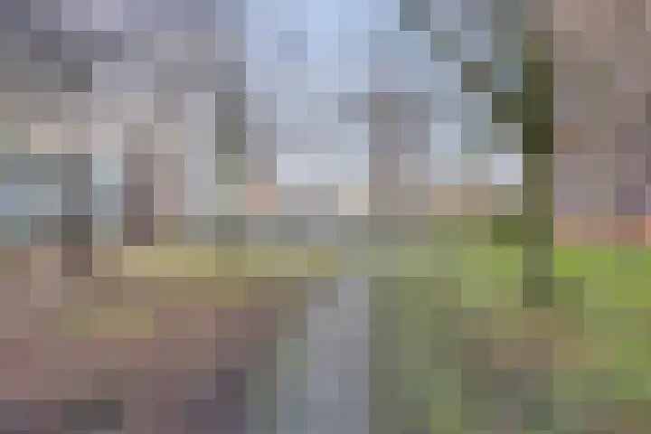 H. Cleyndertweg 399 Amsterdam thumbnail 34