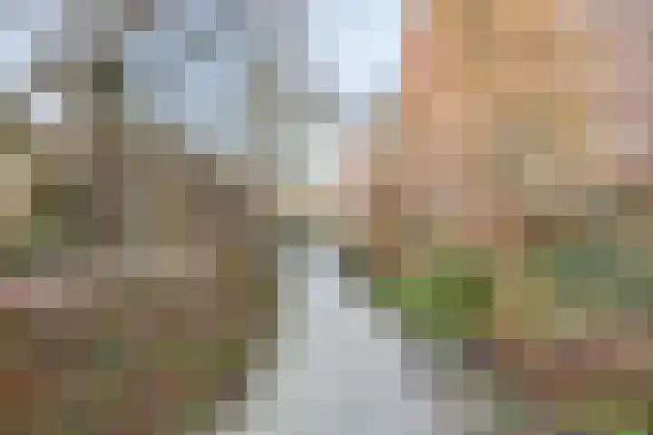 H. Cleyndertweg 399 Amsterdam thumbnail 35