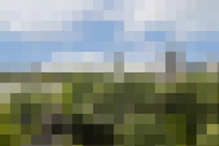 H. Cleyndertweg 409 Amsterdam thumbnail 13