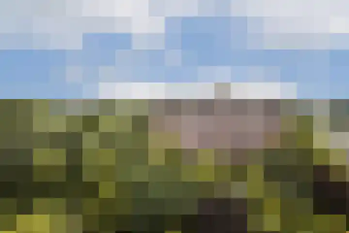 H. Cleyndertweg 409 Amsterdam thumbnail 27