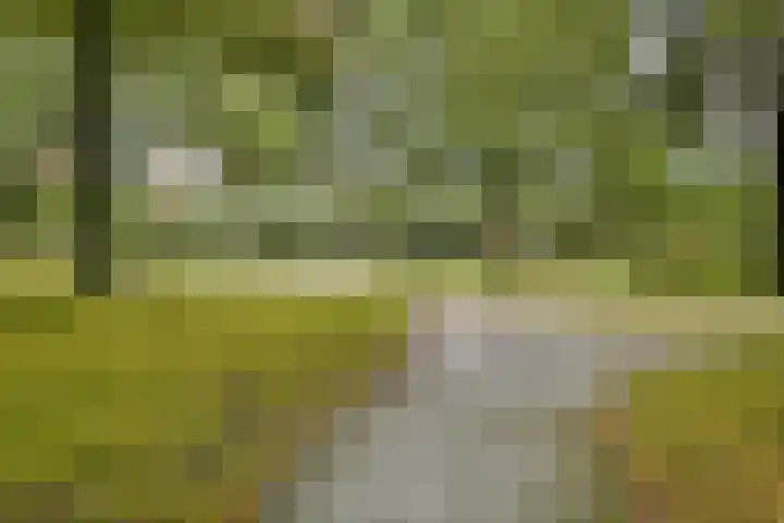 H. Cleyndertweg 409 Amsterdam thumbnail 32