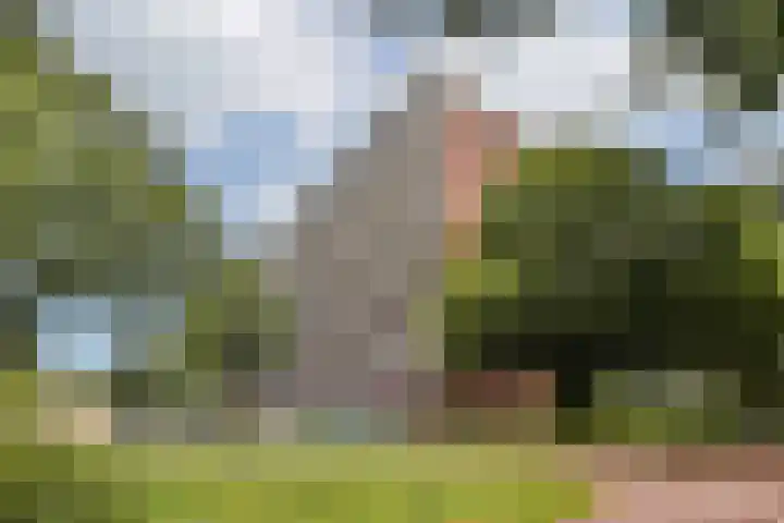 H. Cleyndertweg 409 Amsterdam thumbnail 4