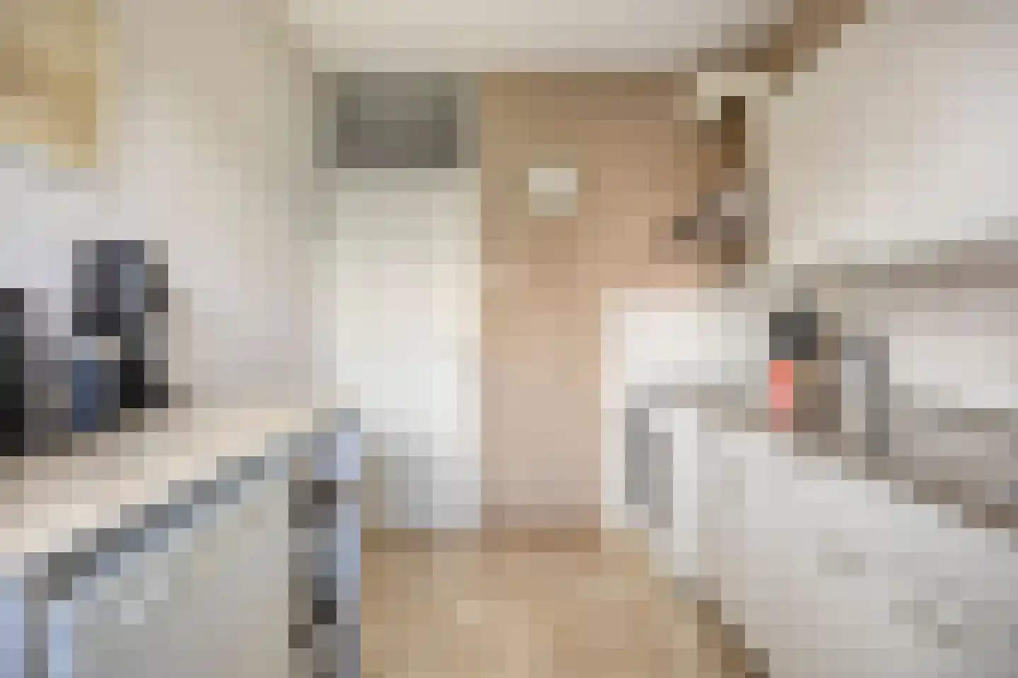 H. Cleyndertweg 529 Amsterdam thumbnail 10