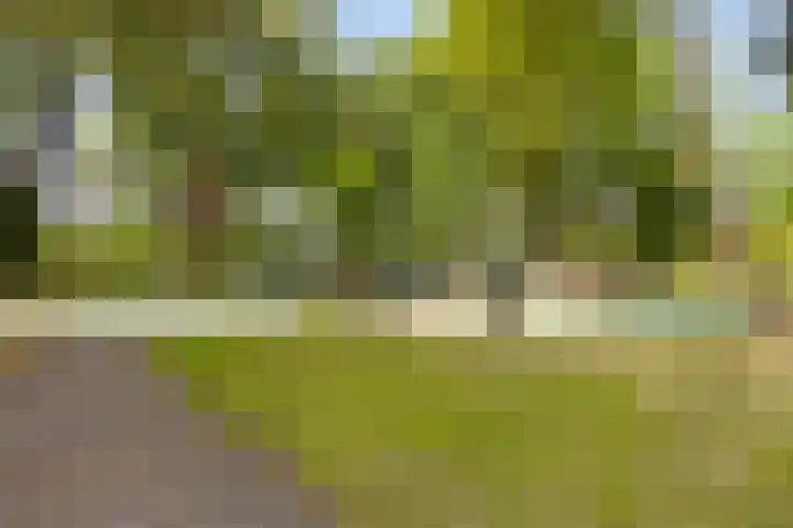 H. Cleyndertweg 539 Amsterdam thumbnail 34