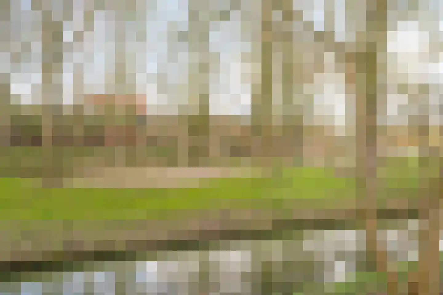 H. Cleyndertweg 547 Amsterdam thumbnail 45