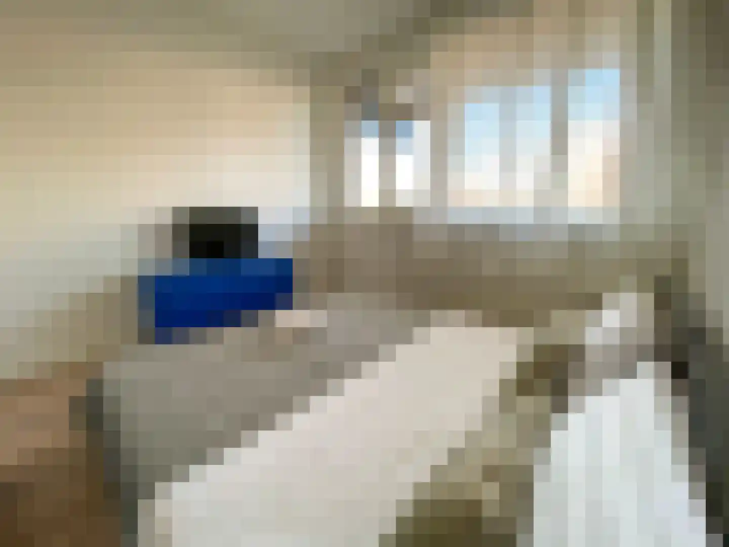 H. Cleyndertweg 565 Amsterdam thumbnail 11