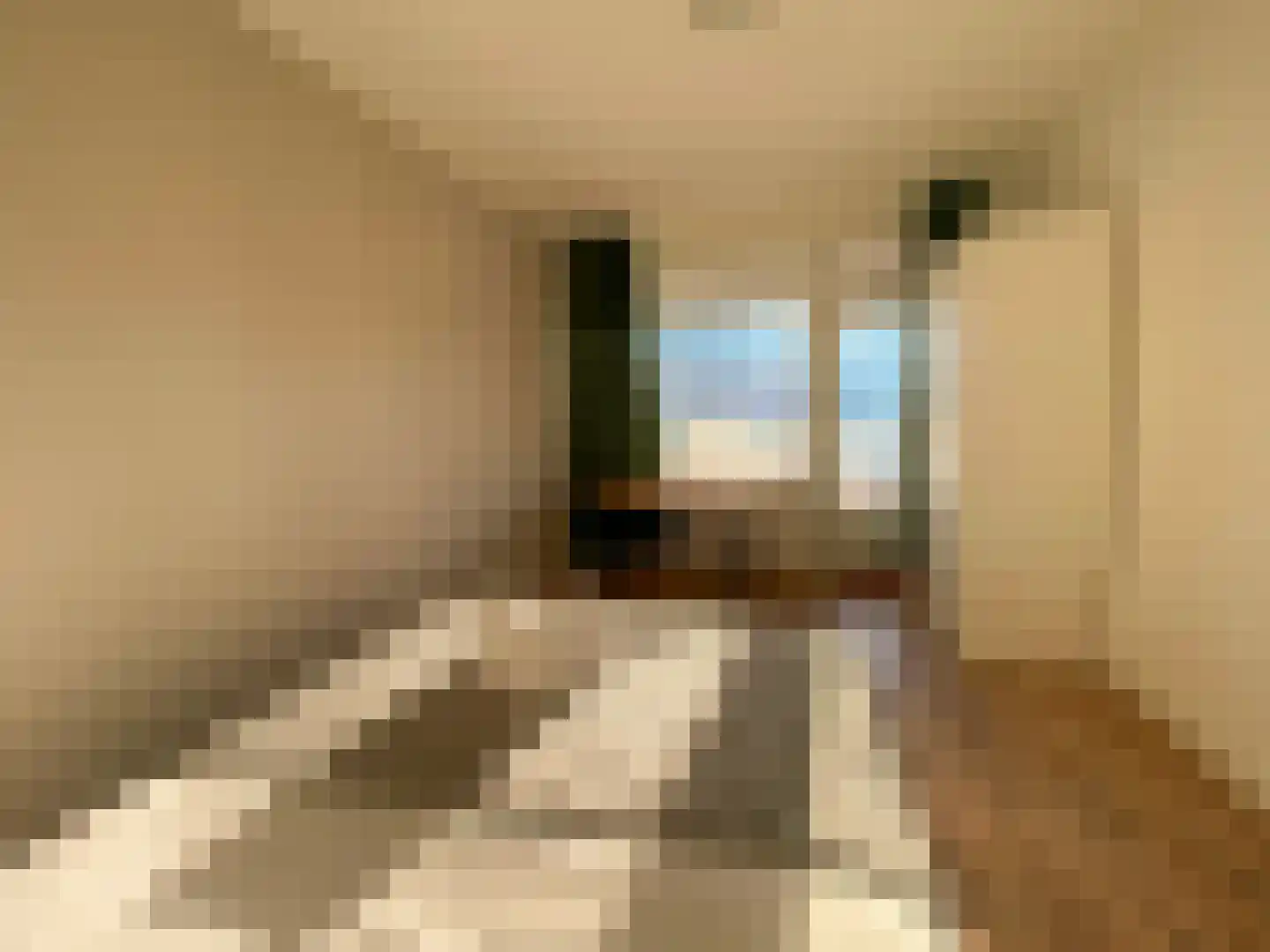 H. Cleyndertweg 565 Amsterdam thumbnail 22