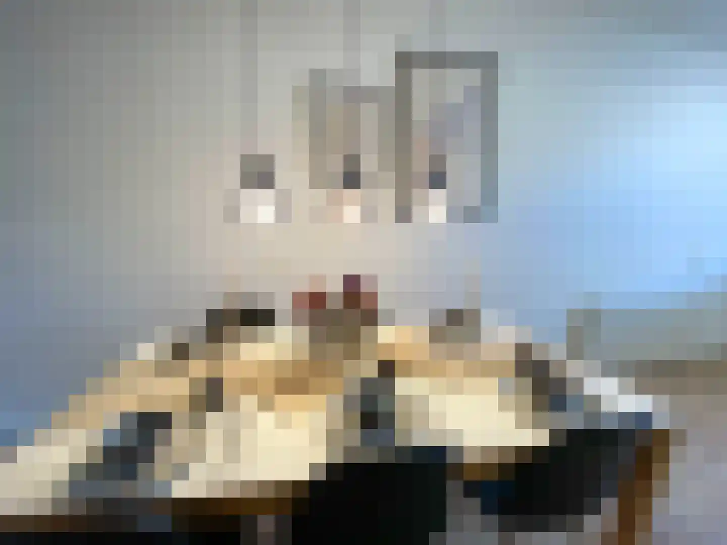 H. Cleyndertweg 565 Amsterdam thumbnail 4