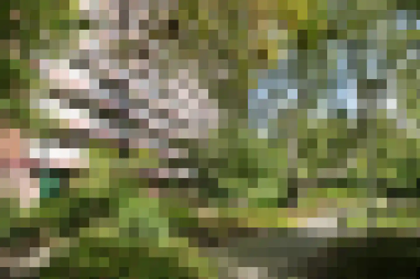H. Cleyndertweg 601 Amsterdam thumbnail 42