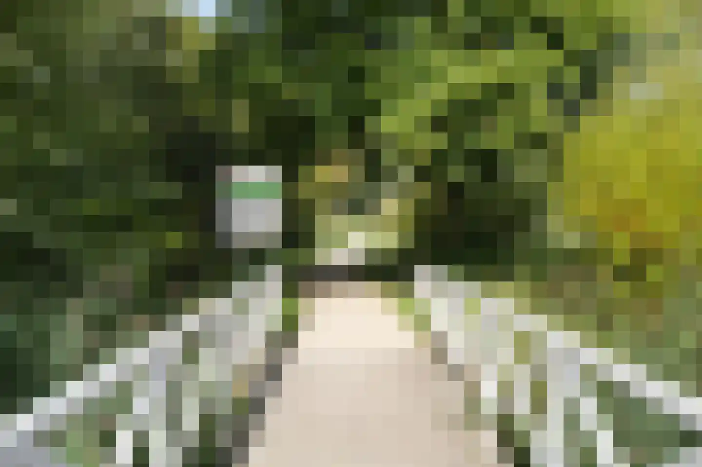H. Cleyndertweg 601 Amsterdam thumbnail 43