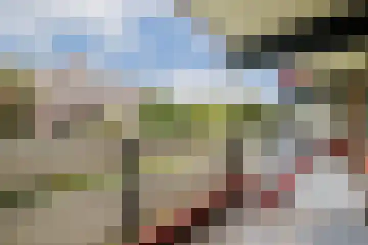 H. Cleyndertweg 729 Amsterdam thumbnail 19