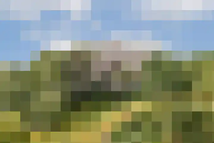 H. Cleyndertweg 729 Amsterdam thumbnail 20