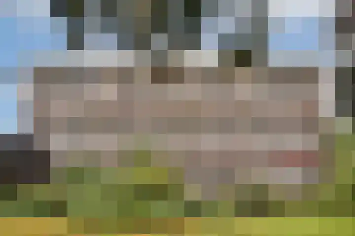 H. Cleyndertweg 729 Amsterdam thumbnail 4