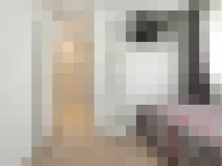 H. Cleyndertweg 747 Amsterdam thumbnail 17