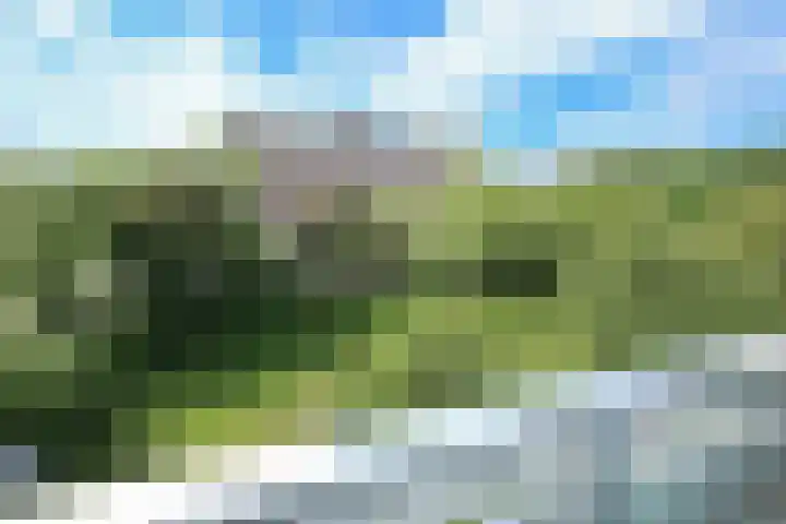 H. Cleyndertweg 747 Amsterdam thumbnail 21