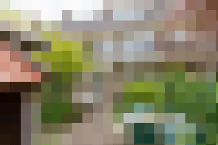 H. Copijnlaan 13 Utrecht thumbnail 13