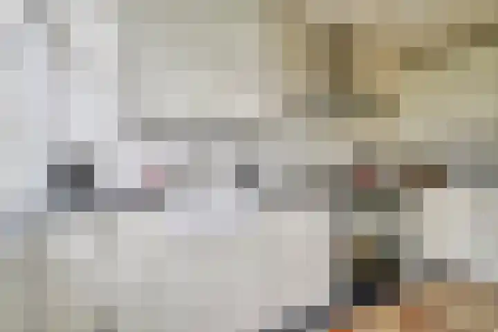 H. Copijnlaan 13 Utrecht thumbnail 17